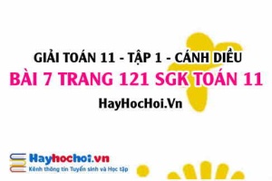 Giải bài 7 trang 121 Toán 11 tập 1 SGK Cánh Diều